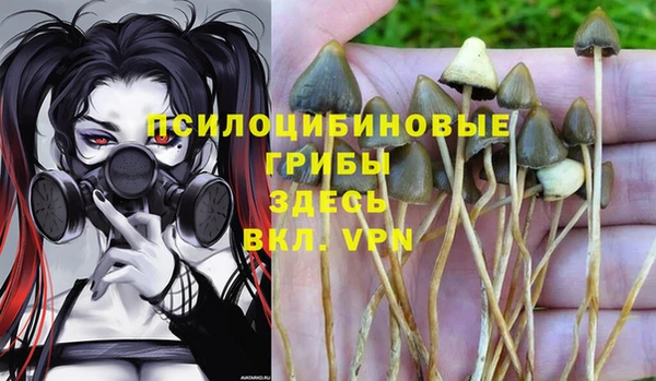 PSILOCYBIN Абаза