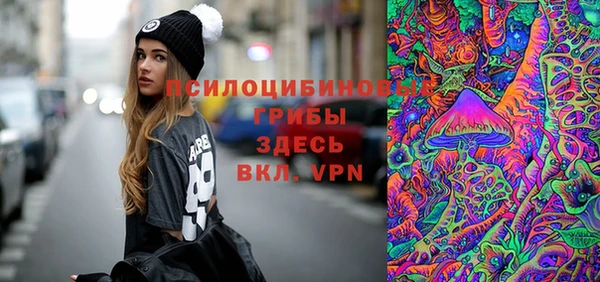 PSILOCYBIN Абаза