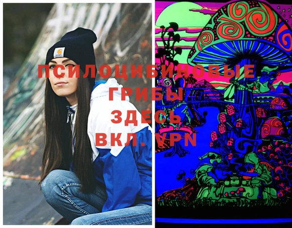 PSILOCYBIN Абаза