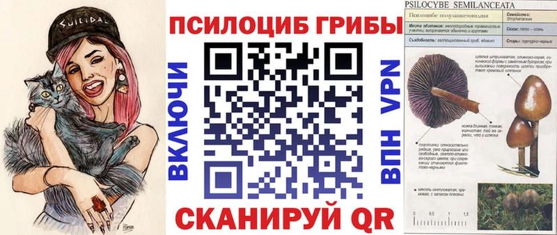 Галлюциногенные грибы GOLDEN TEACHER  Карабаново 